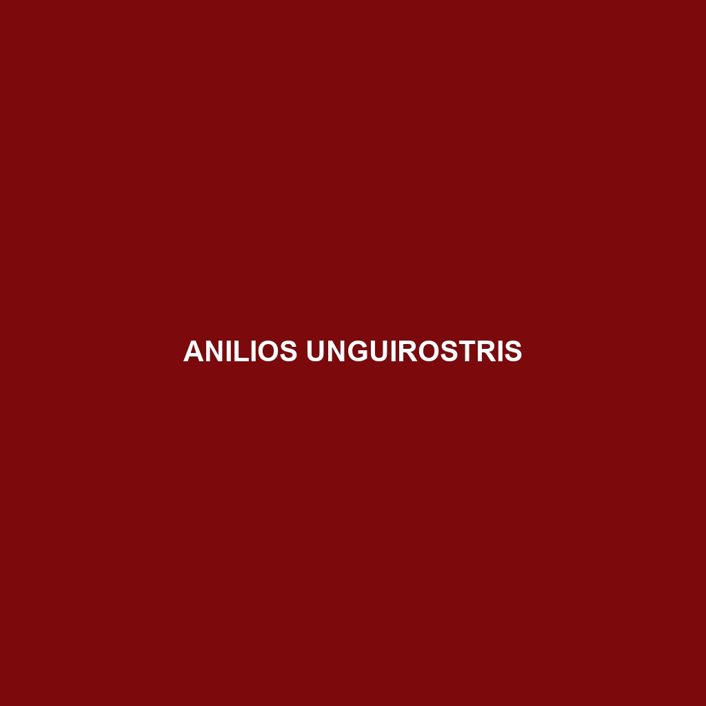 Anilios unguirostris