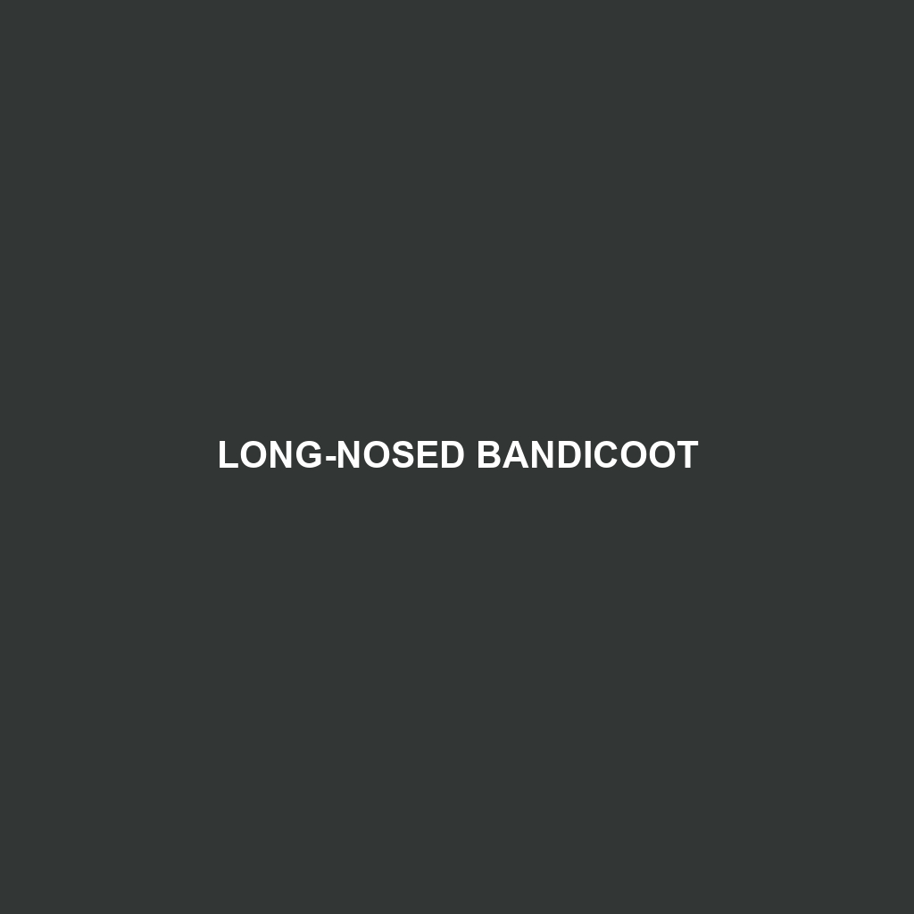 Long-nosed Bandicoot