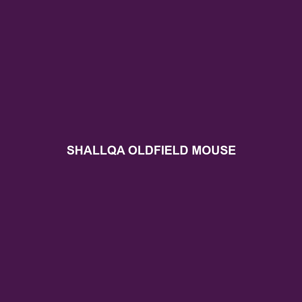 Shallqa Oldfield Mouse