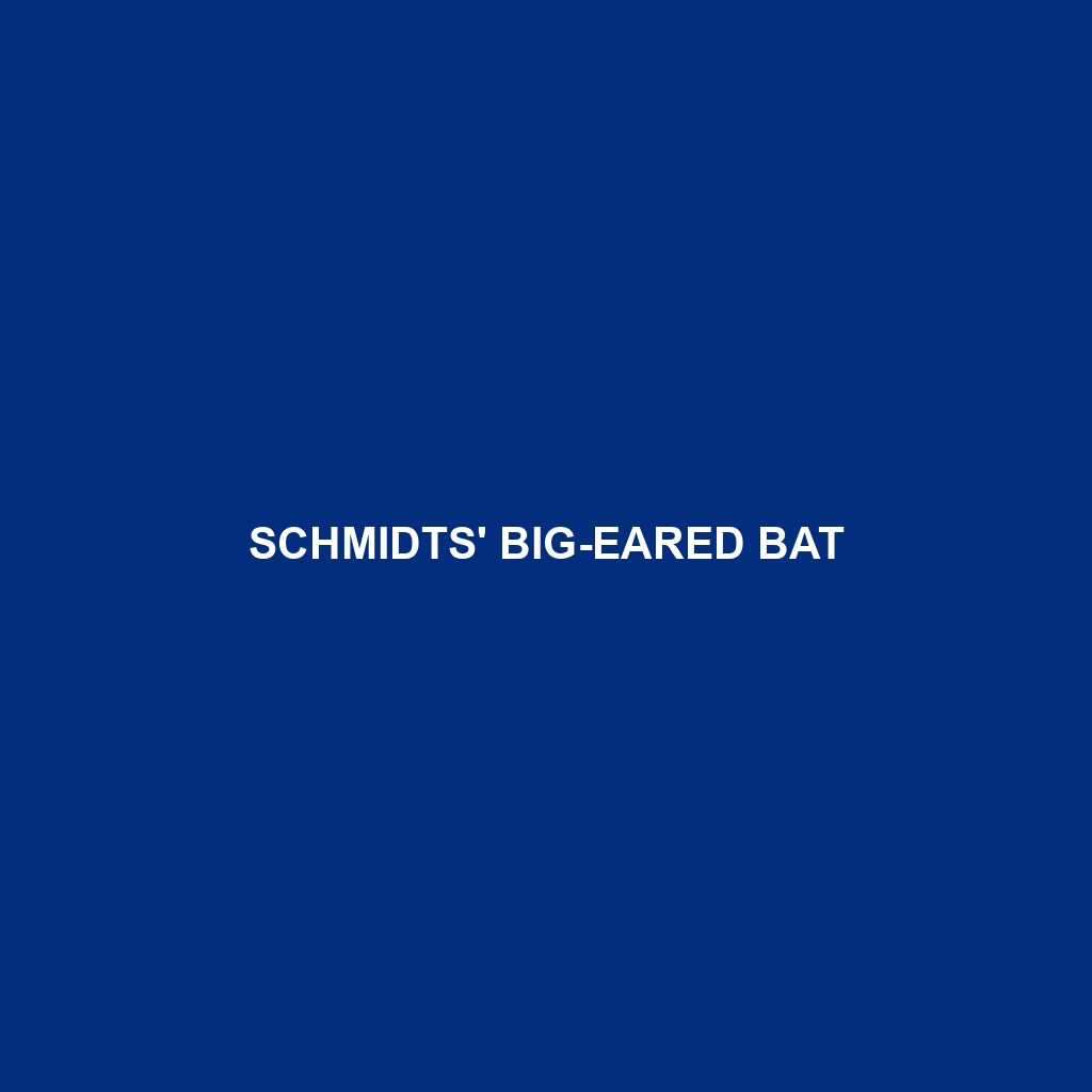 Schmidts' Big-eared Bat