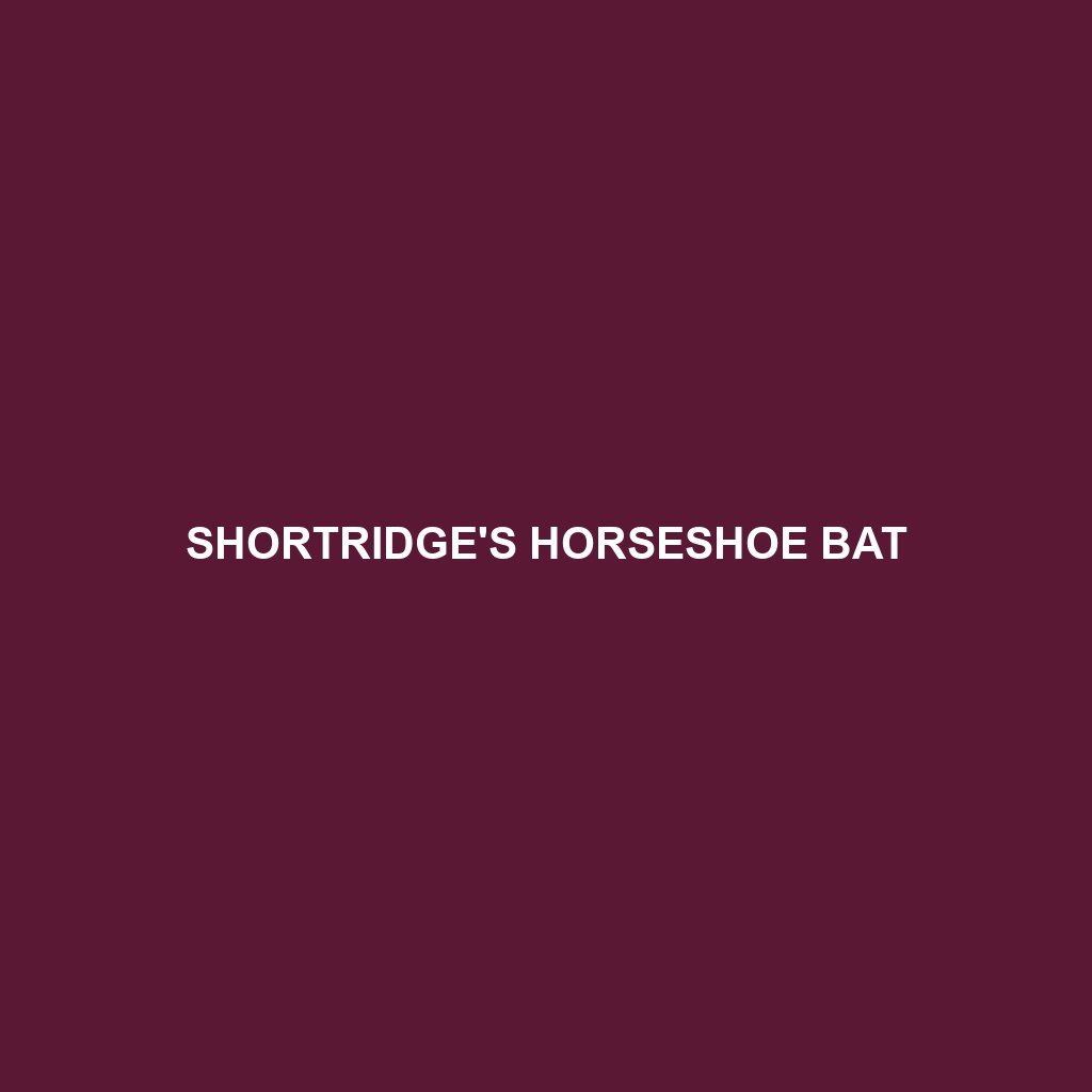 Shortridge's Horseshoe Bat