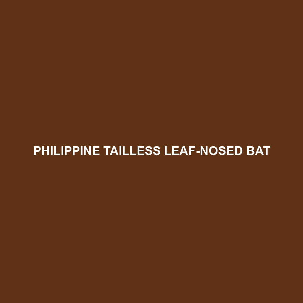 Philippine Tailless Leaf-nosed Bat