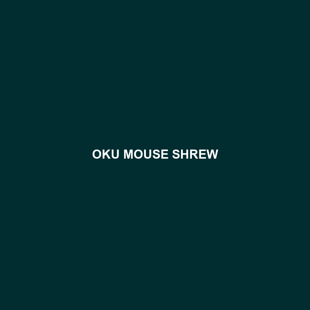 Oku Mouse Shrew