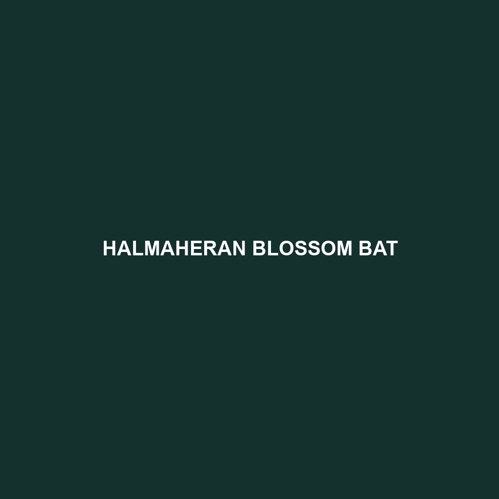 Halmaheran Blossom Bat