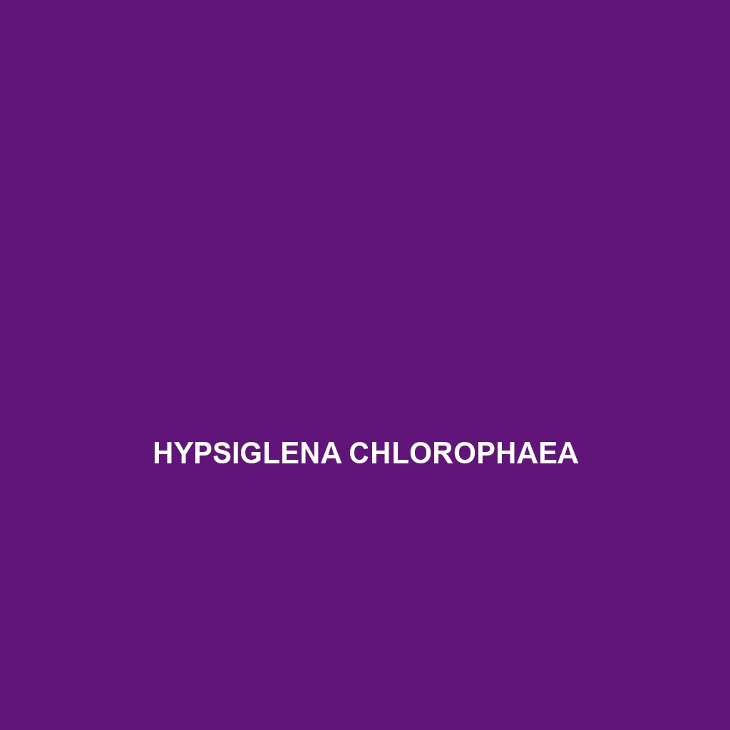 Hypsiglena chlorophaea