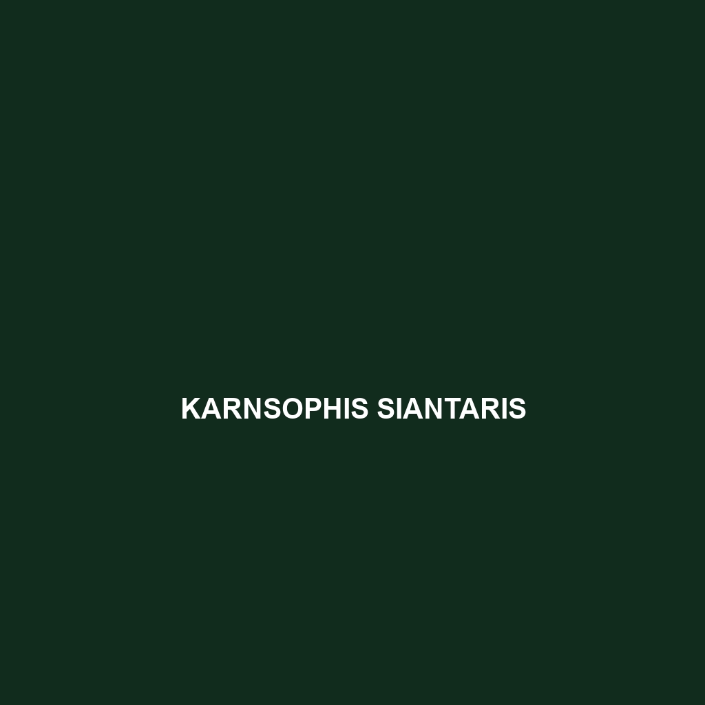 Karnsophis siantaris