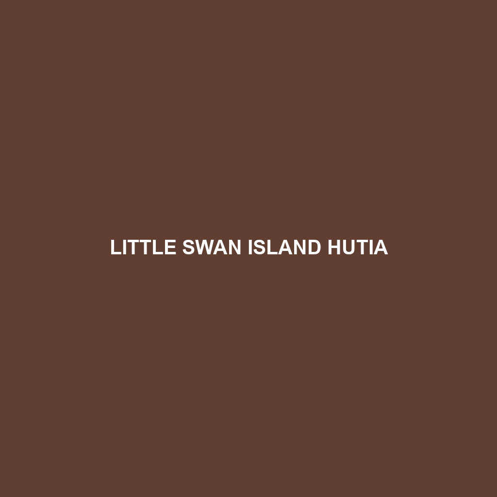 Little Swan Island Hutia