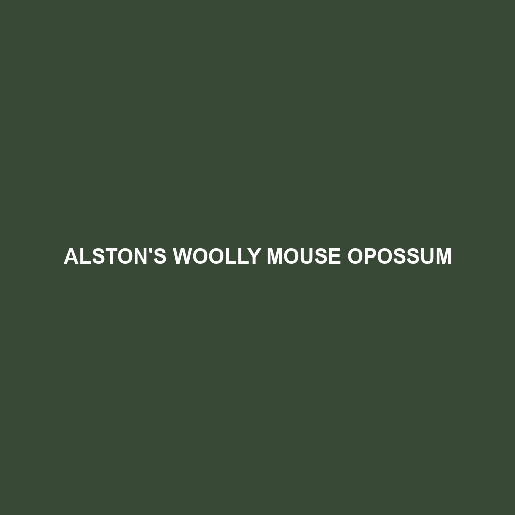 Alston's Woolly Mouse Opossum