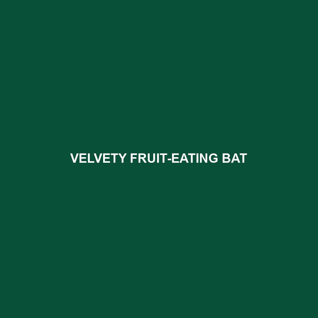 Velvety Fruit-eating Bat