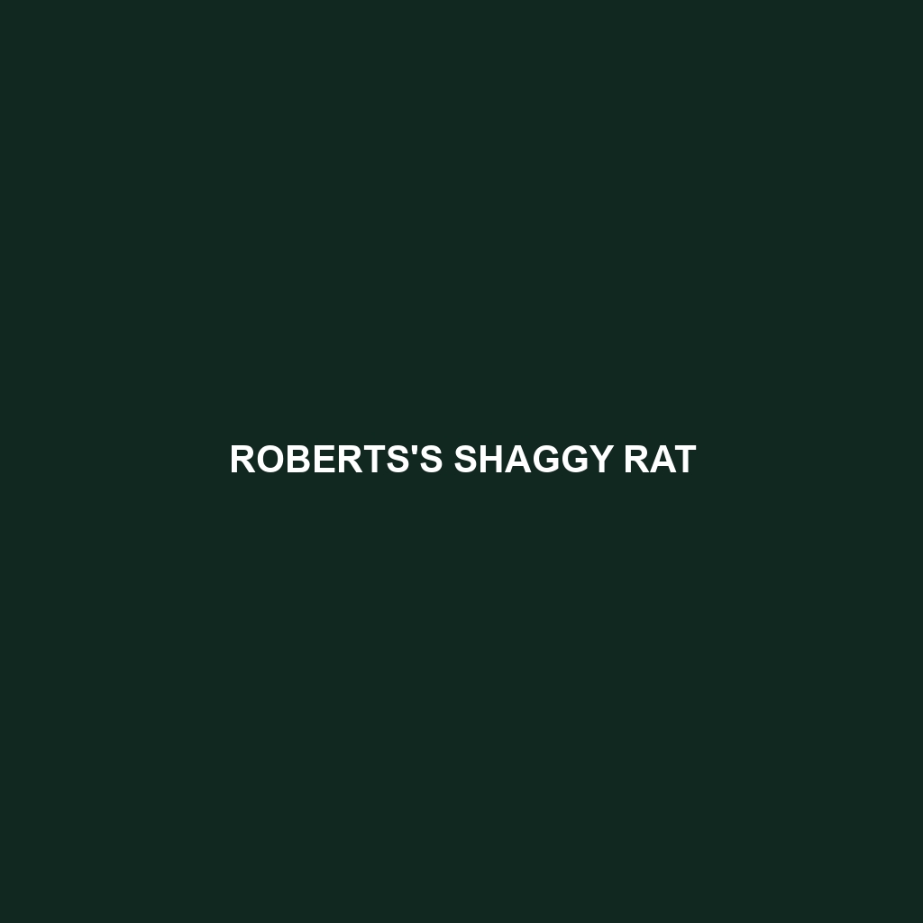 Roberts's Shaggy Rat