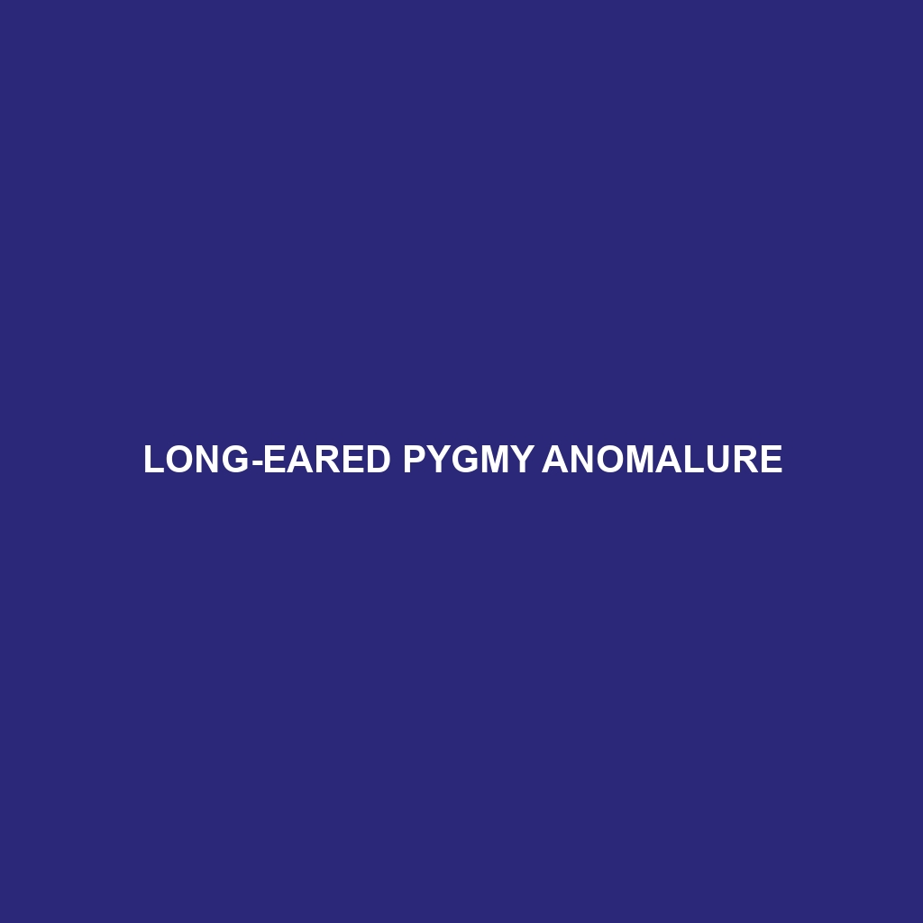 Zenker's Pygmy Anomalure