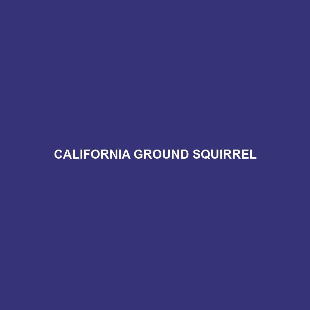 California Ground Squirrel