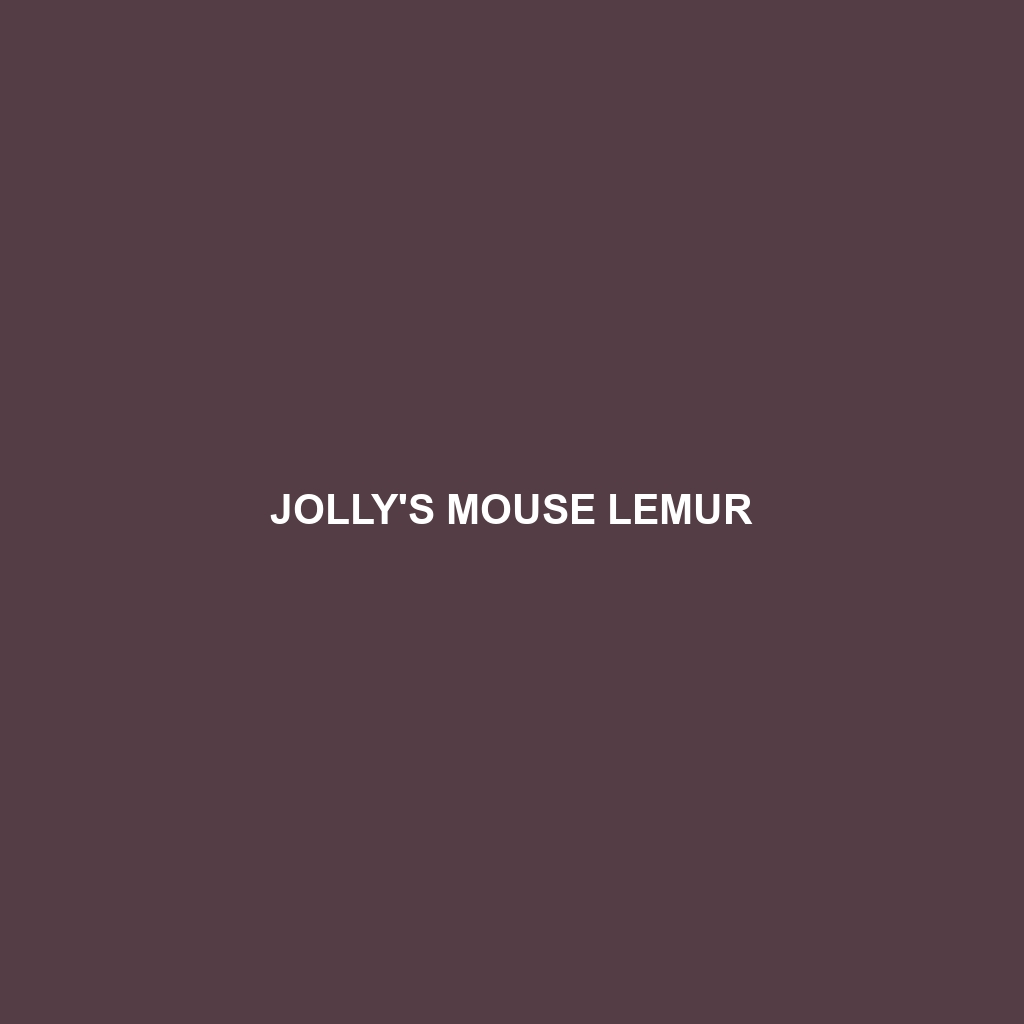 Jolly's Mouse Lemur