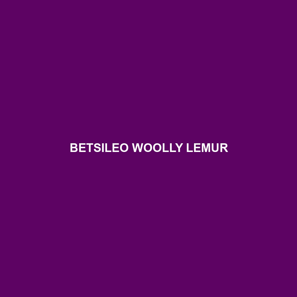 Betsileo Woolly Lemur