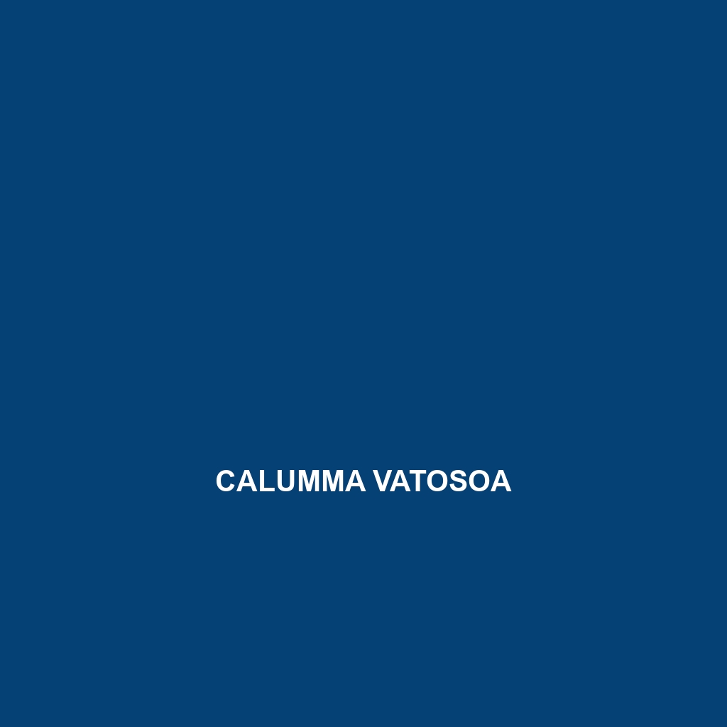 Calumma vatosoa