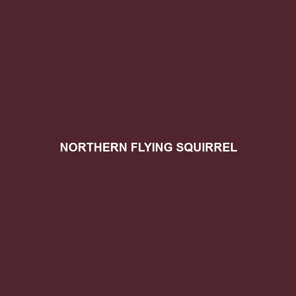 Northern Flying Squirrel