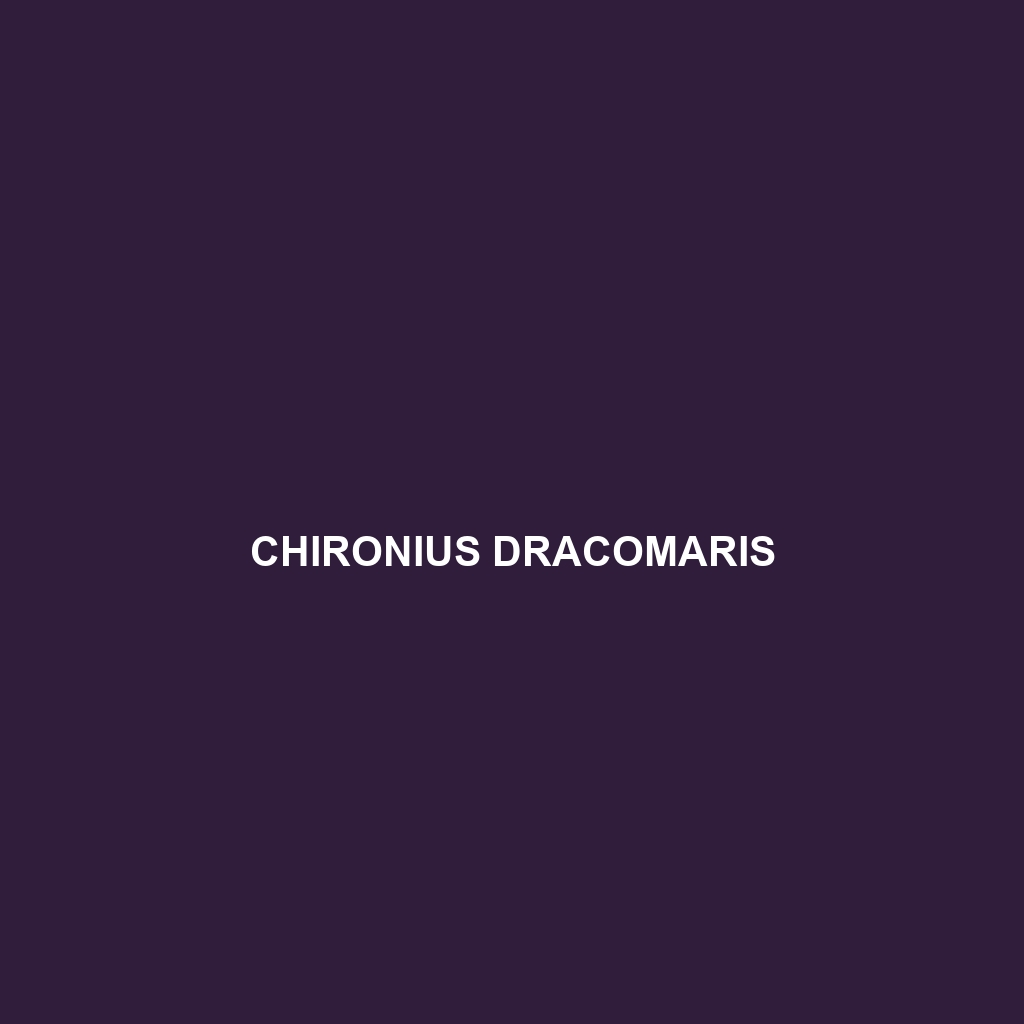 Chironius dracomaris