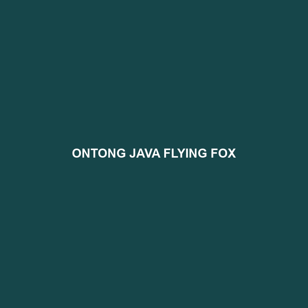 Ontong Java Flying Fox