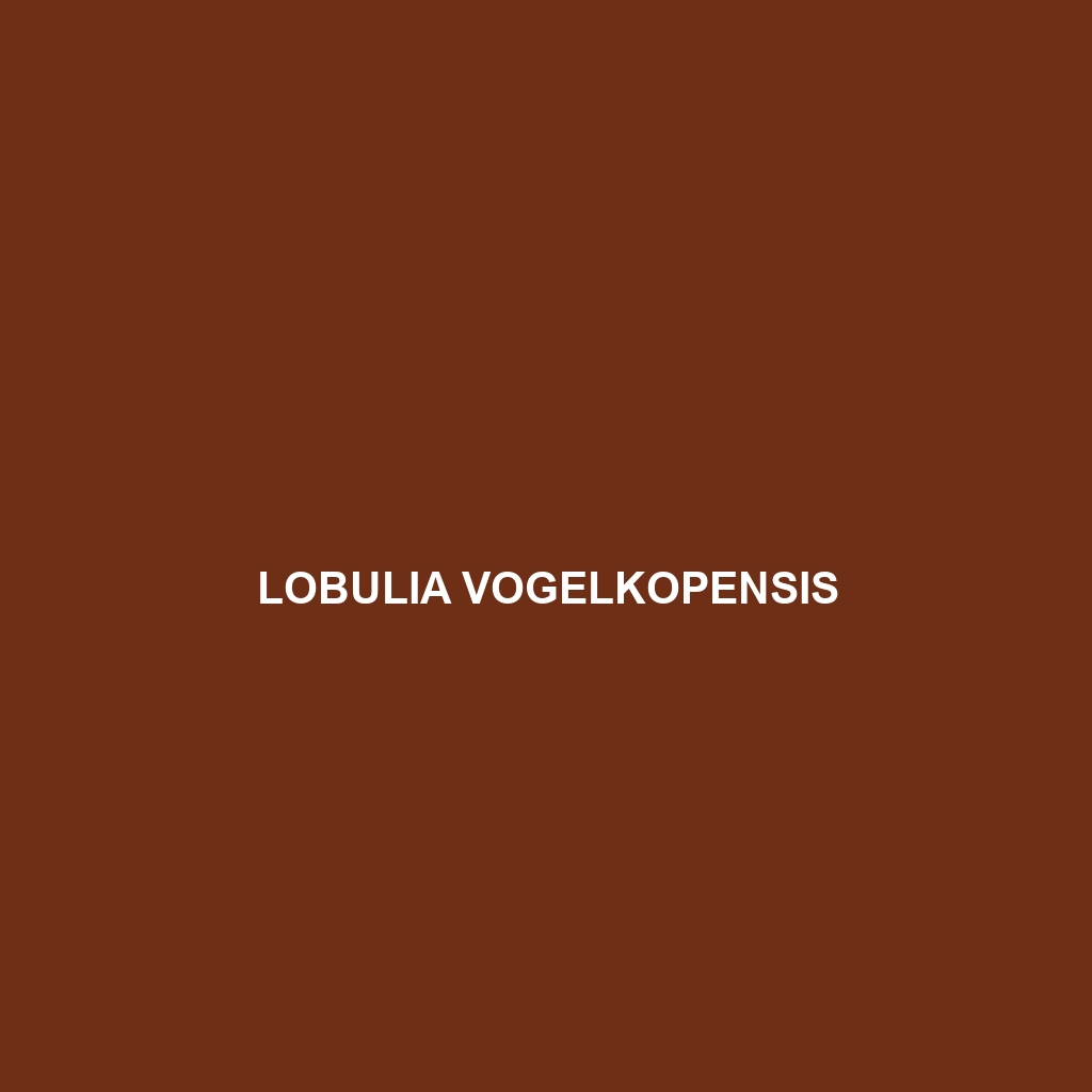 Lobulia vogelkopensis