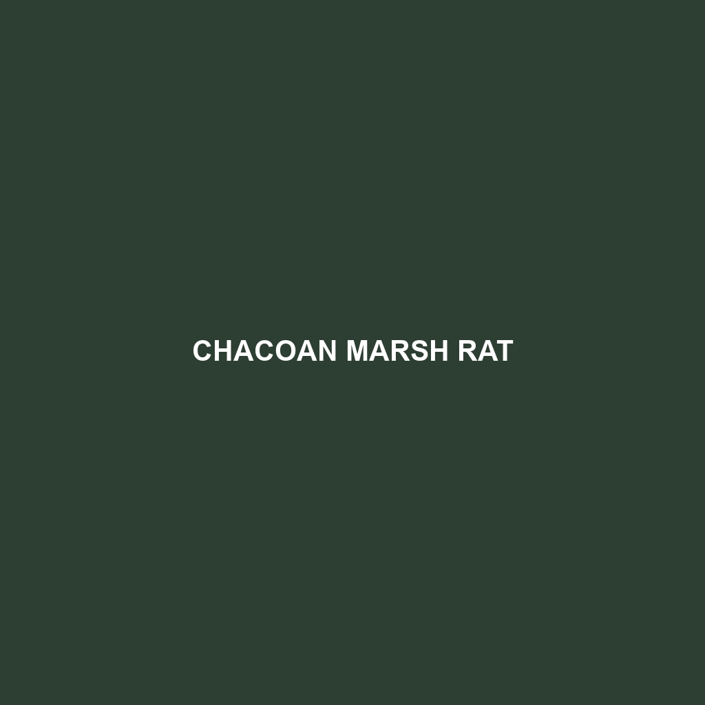 Chacoan Marsh Rat