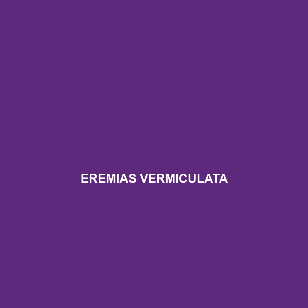 Eremias velox