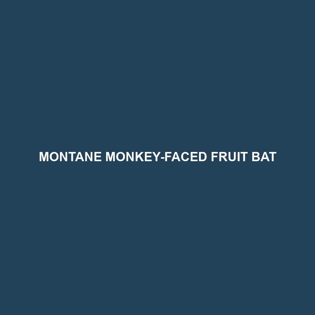 Montane Monkey-faced Fruit Bat