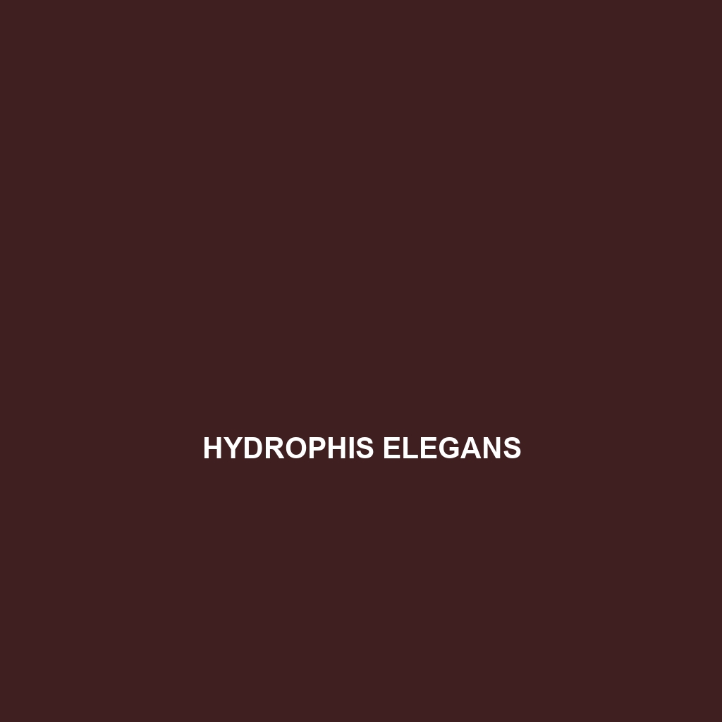 Hydrophis elegans