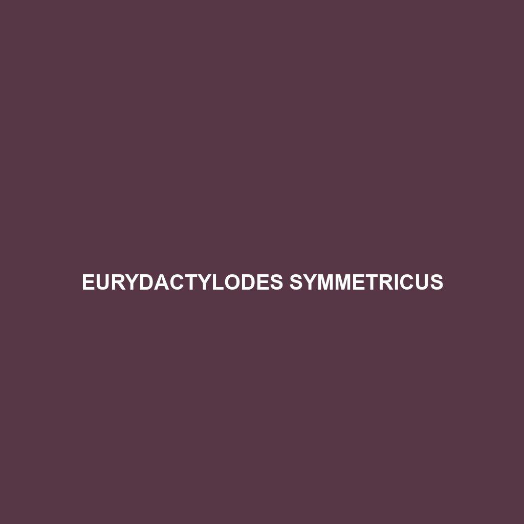 Eurydactylodes symmetricus