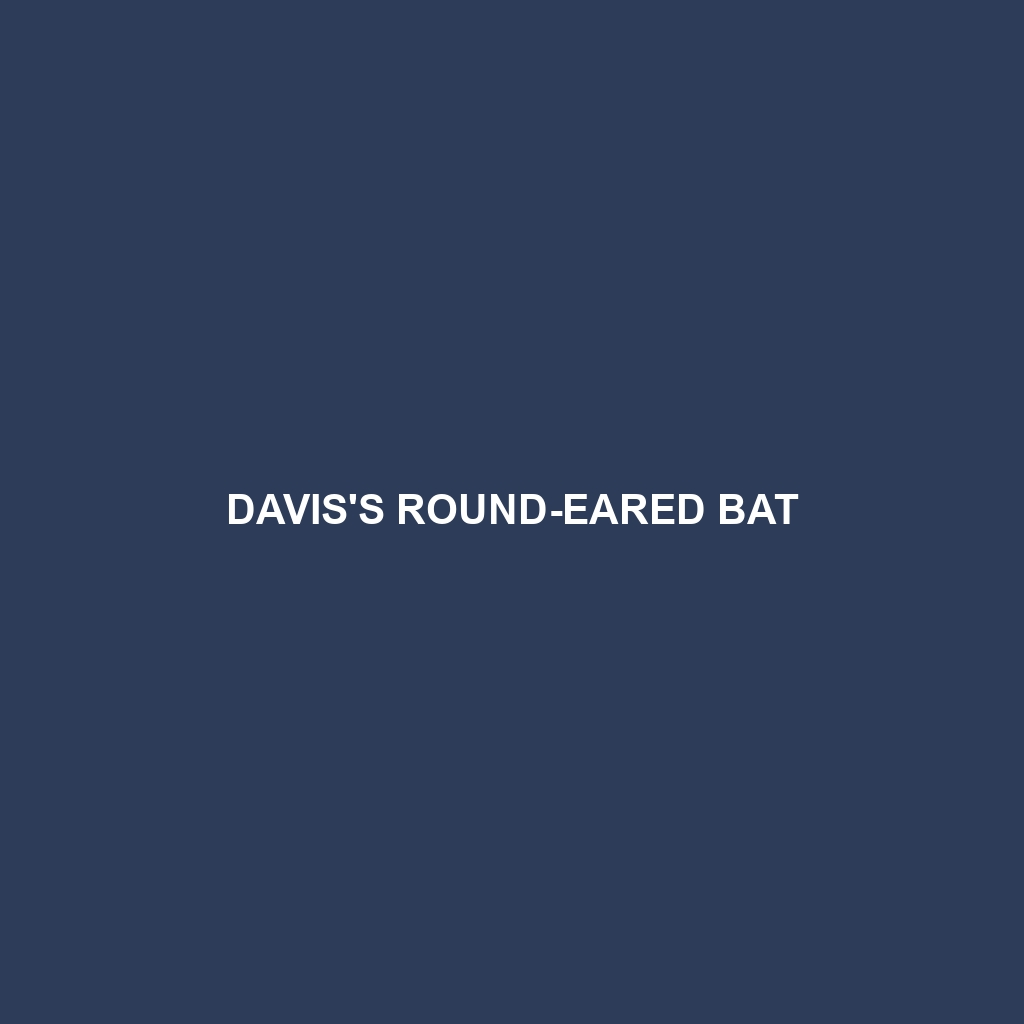 Davis's Round-eared Bat