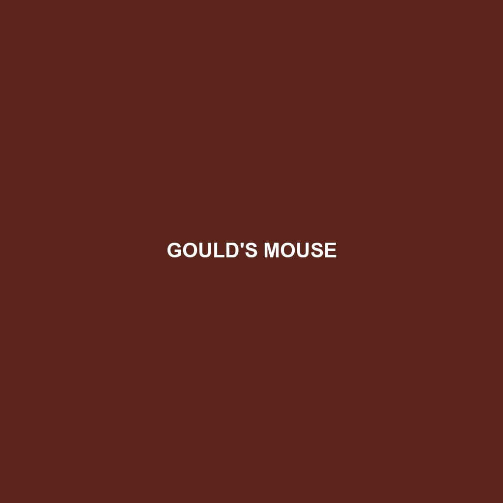 Gould's Mouse