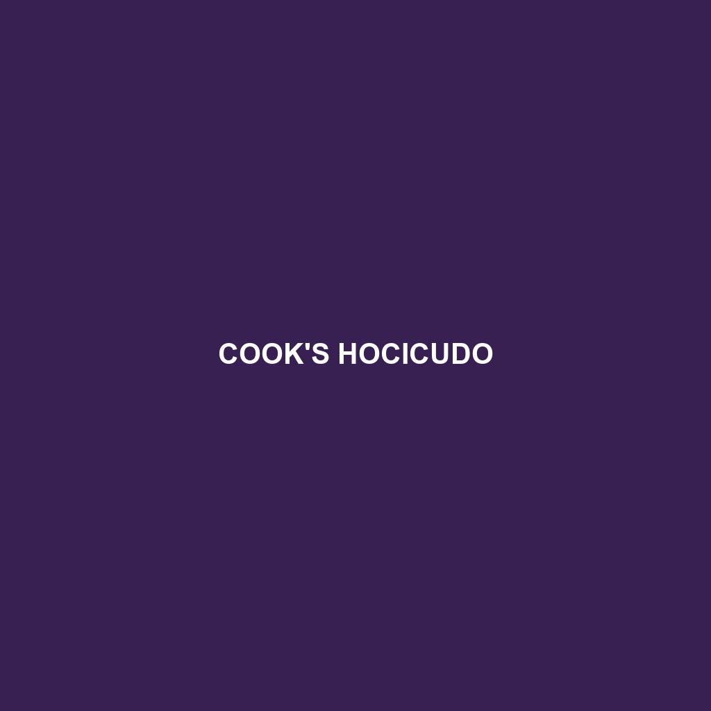 Cook's Hocicudo