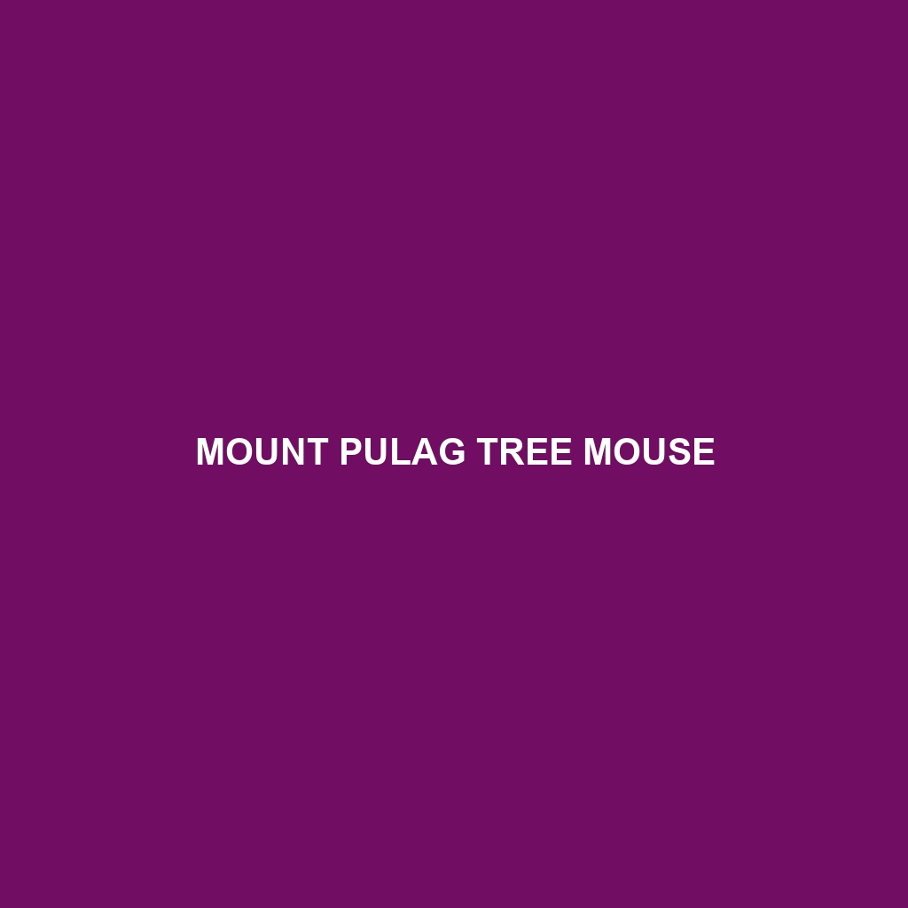 Mount Pulag Tree Mouse