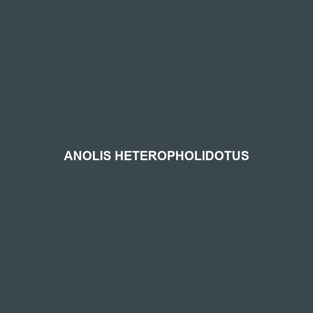 Anolis heteropholidotus