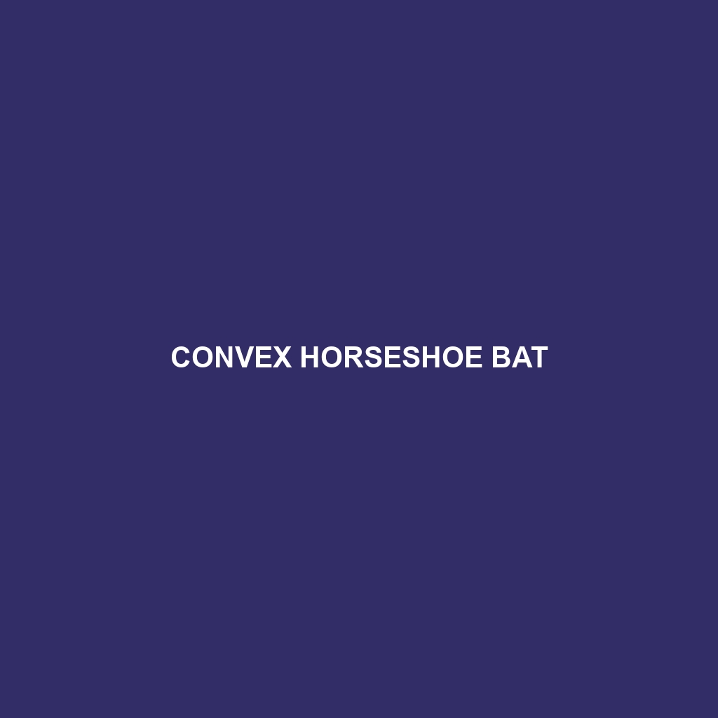 Convex Horseshoe Bat