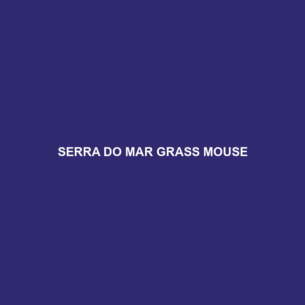 Serra do Mar Grass Mouse