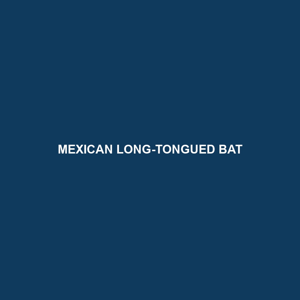 Mexican Long-tongued Bat