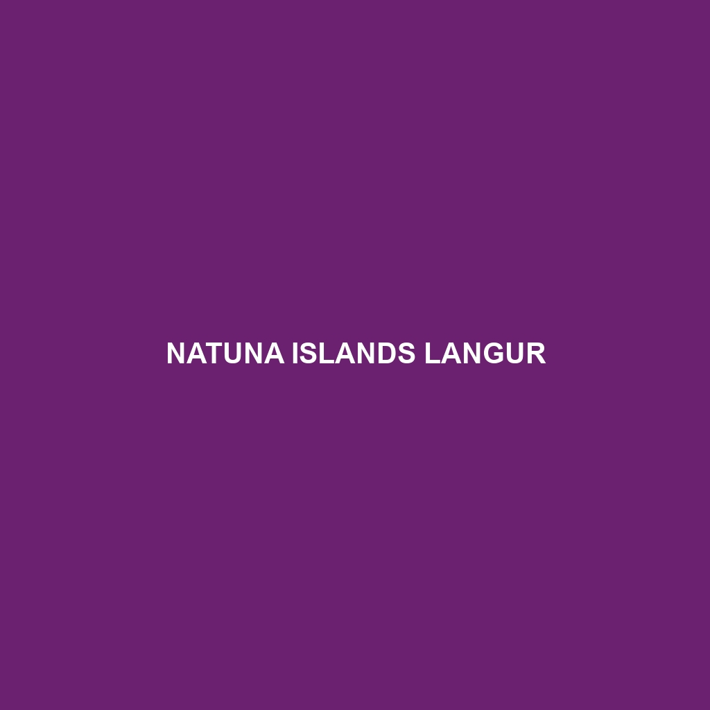 Natuna Islands Langur