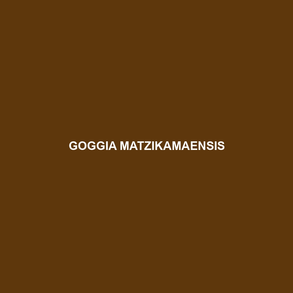 Goggia matzikamaensis