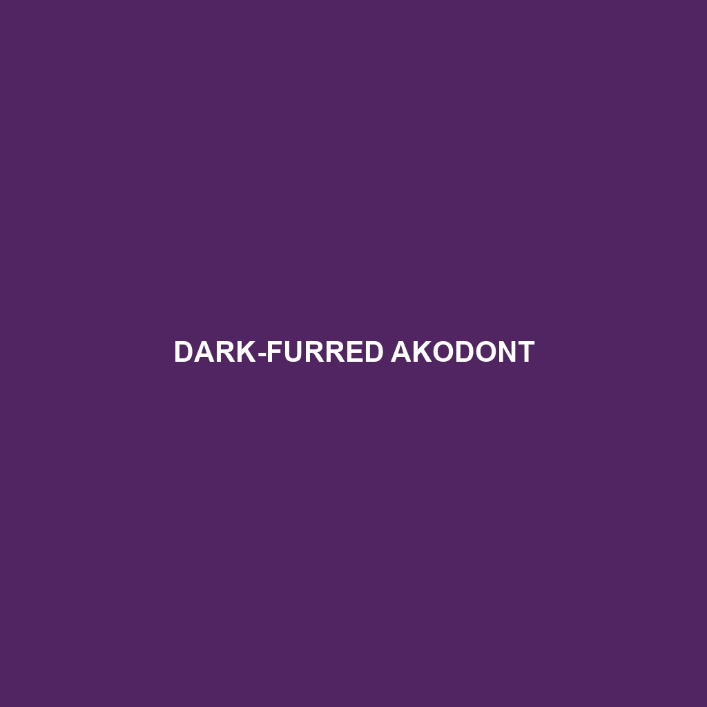 Dark-furred Akodont