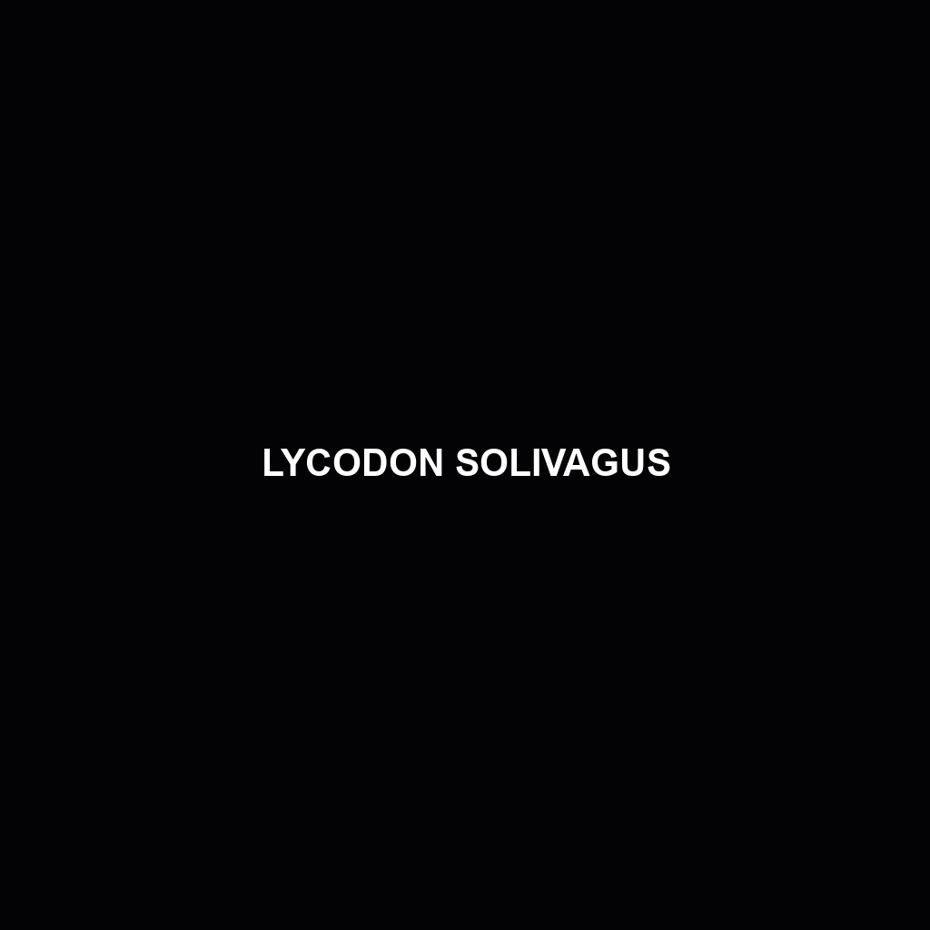 Lycodon solivagus