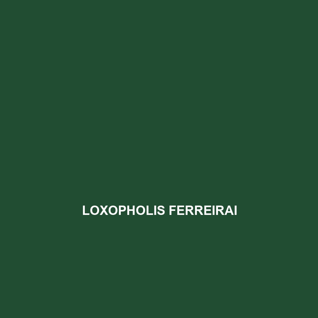 Loxopholis ferreirai