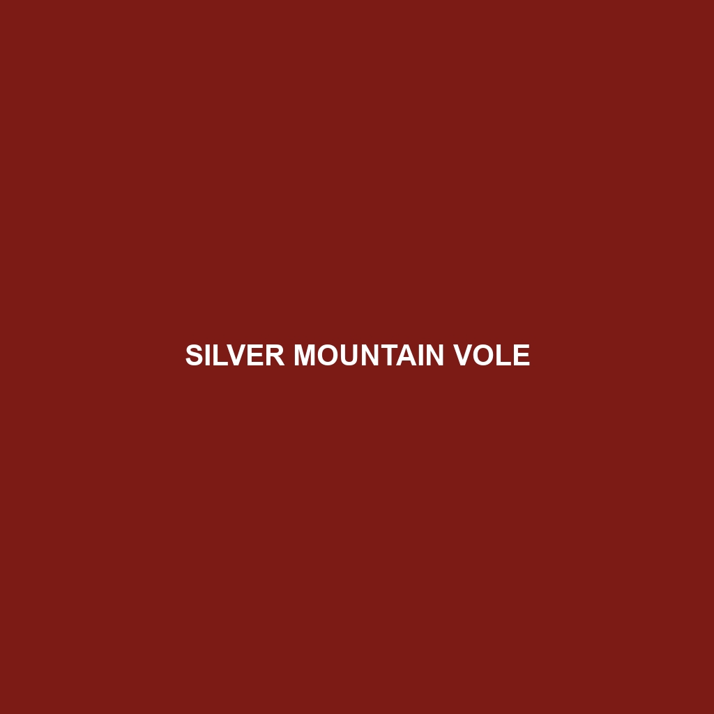 Silver Mountain Vole