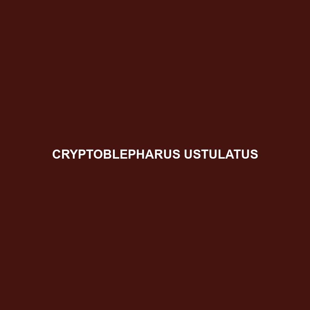 Cryptoblepharus ustulatus