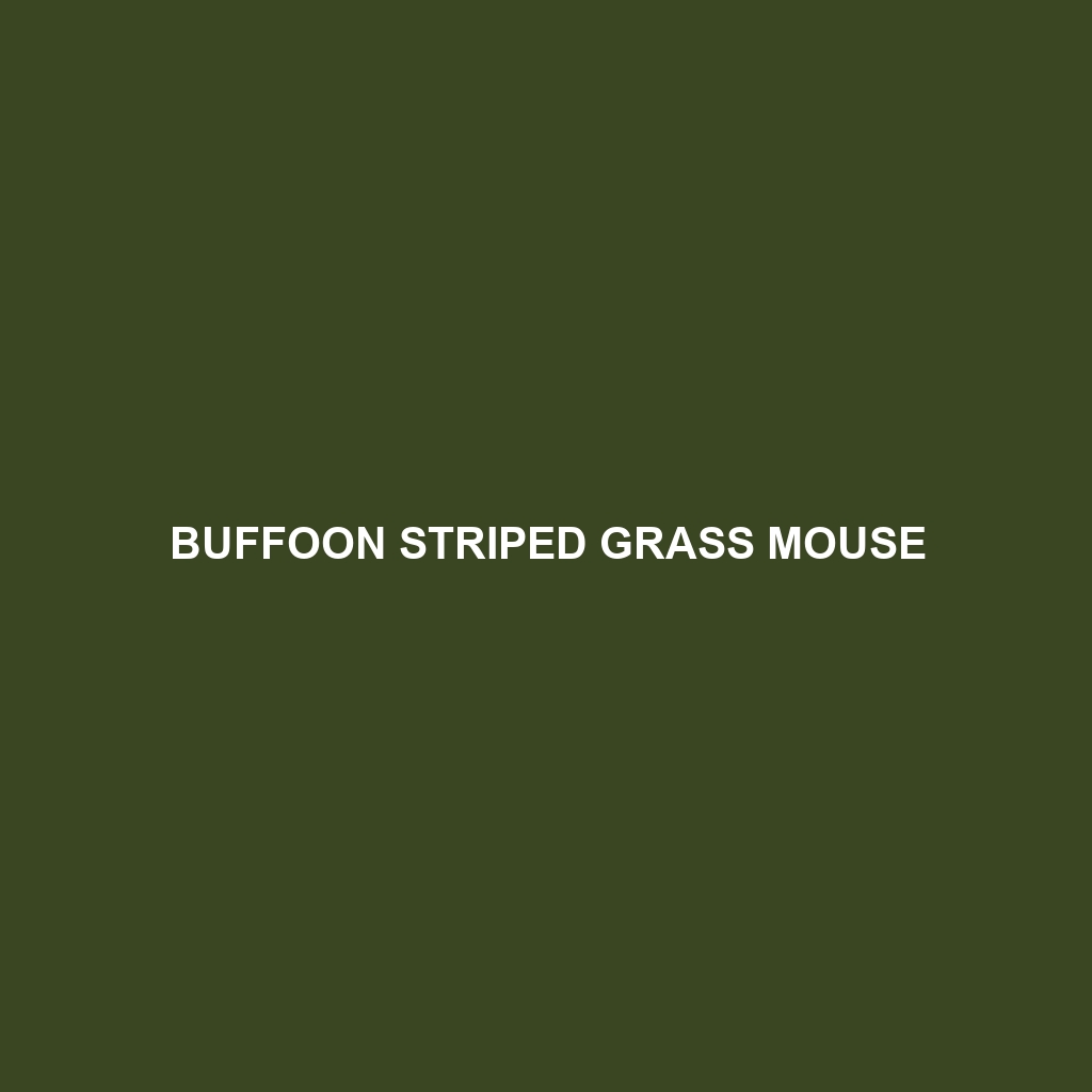 Buffoon Striped Grass Mouse