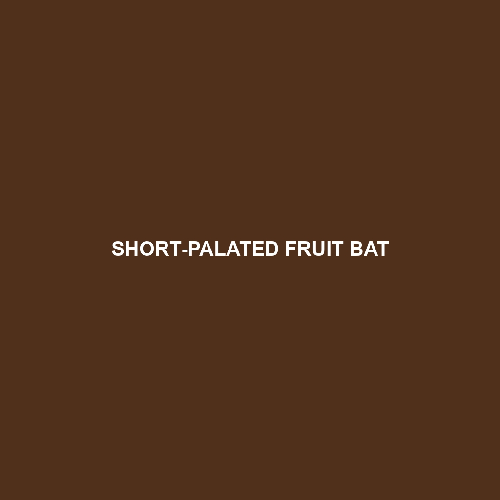 Short-palated Fruit Bat