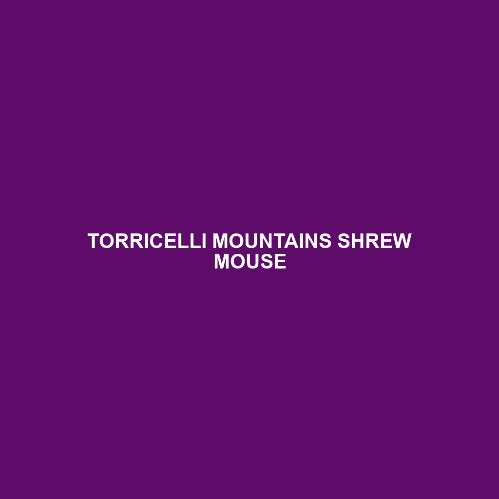 Torricelli Mountains Shrew Mouse