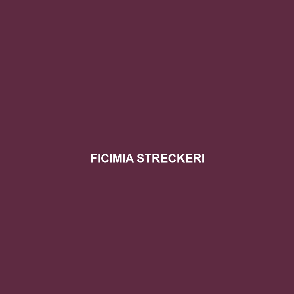 Ficimia streckeri