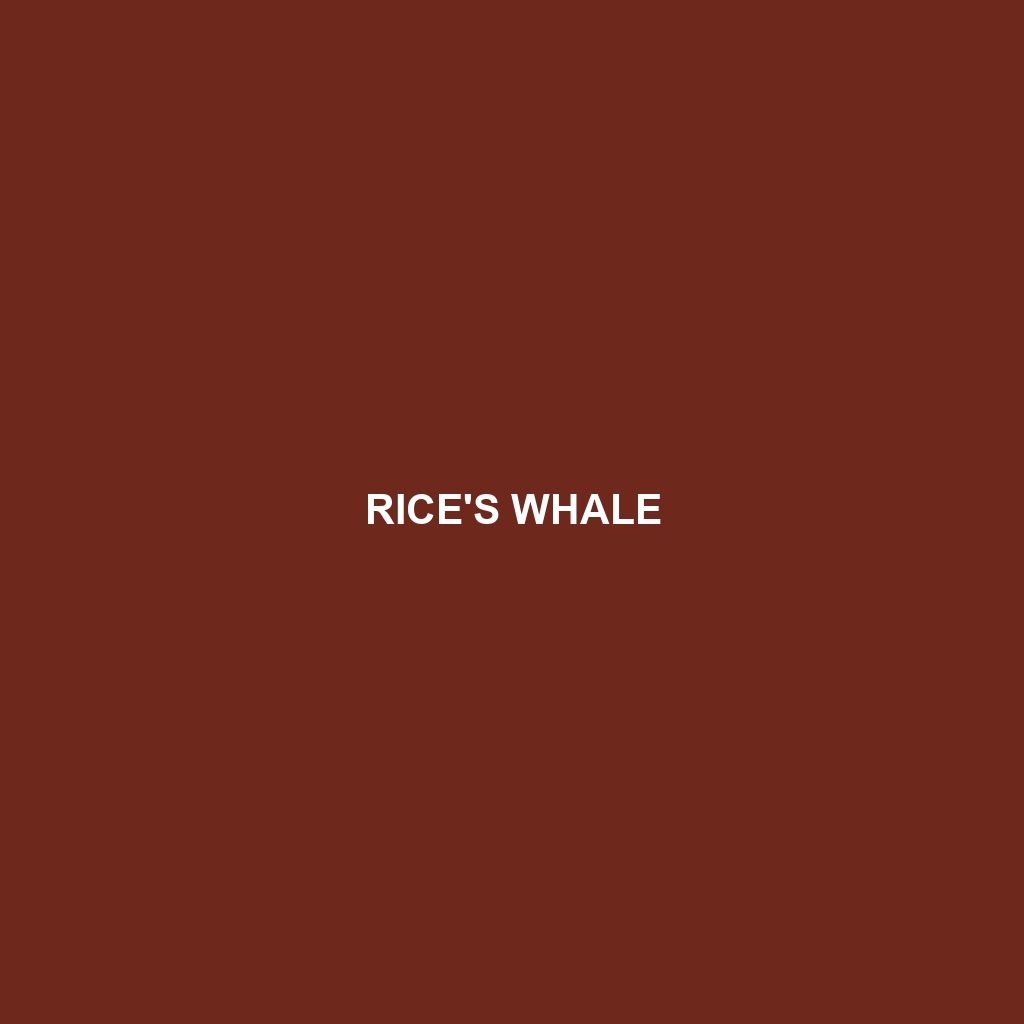 Rice's Whale