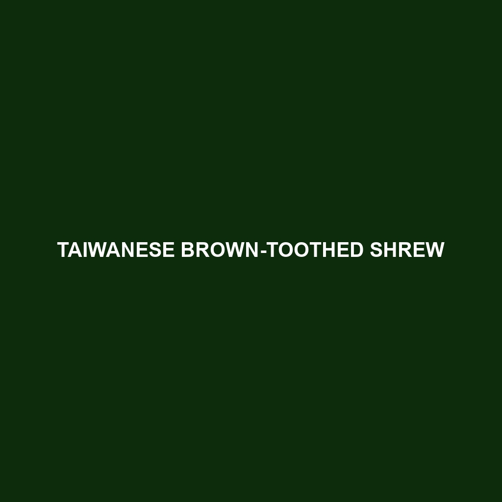 Taiwanese Brown-toothed Shrew