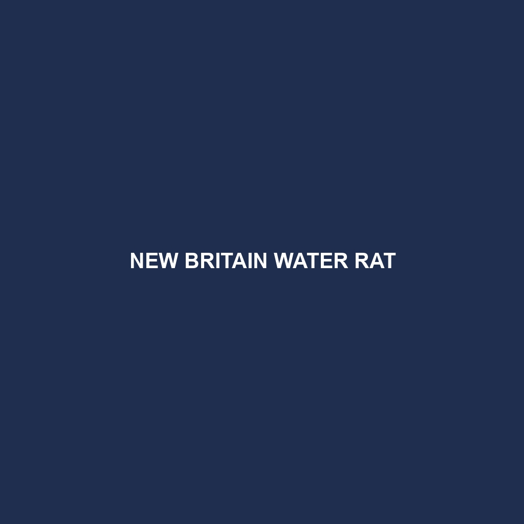 New Britain Water Rat